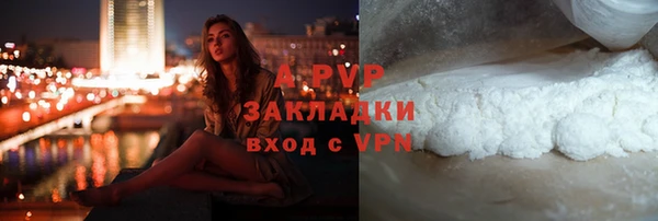 дурь Богданович